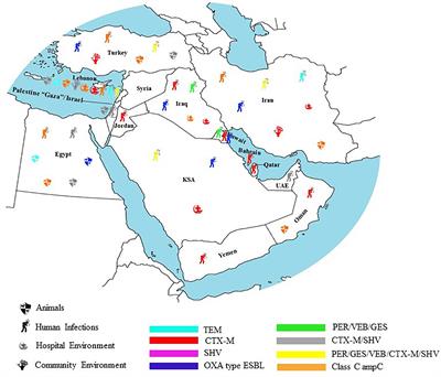 Understanding the Epidemiology of Multi-Drug Resistant Gram-Negative Bacilli in the Middle East Using a One Health Approach